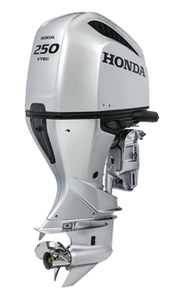 Vue latérale d'un BF250D